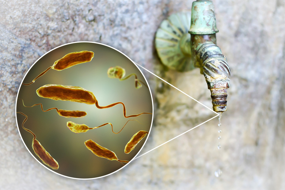 One of the biggest risks is that flesh-eating bacteria like vibrio could get into the water supply.
