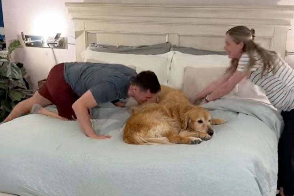 Ein Küsschen für absolut gar nichts: Emma und Ellie bleiben ungerührt auf dem fertigen Bett liegen. Eine Hilfe waren sie nicht – im Grunde genommen das genaue Gegenteil.