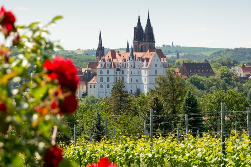 Tausende werden sich am Wochenende unterhalb der Albrechtsburg Meißen vergnügen. Das Wetter könnte passen.