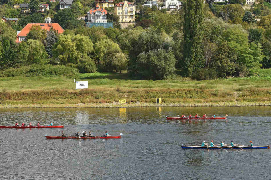 Dank der Benefiz-Regatta "Rudern gegen Krebs" im September kamen rund 50.000 Euro zusammen.