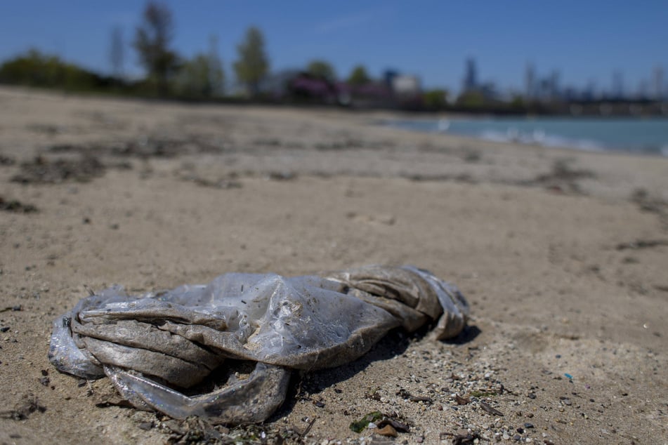 Since 2020, as the percentage of the US population covered by statewide bans has risen from 12% to 25%, there has been a 29% reduction in the number of bags collected per beach-cleaning volunteer.