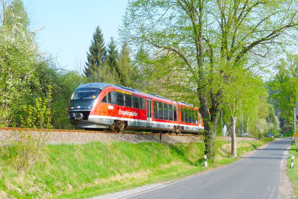 Zur EURORANDO sorgt der Verkehrsverbund Mittelsachsen für günstige Ticket-Angebote.