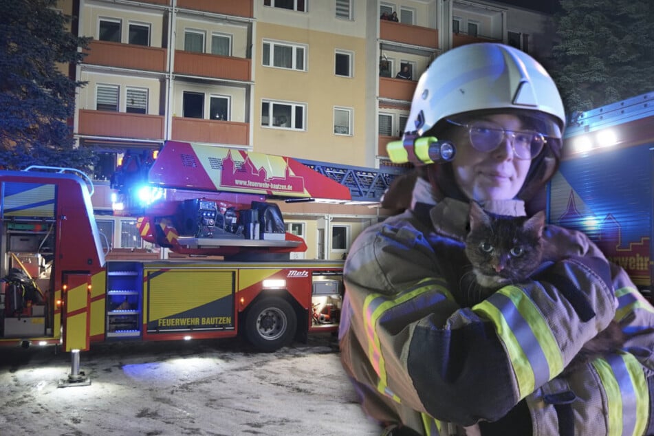 Feuer-Drama in der Platte: Frau und Kätzchen aus drittem Stock gerettet