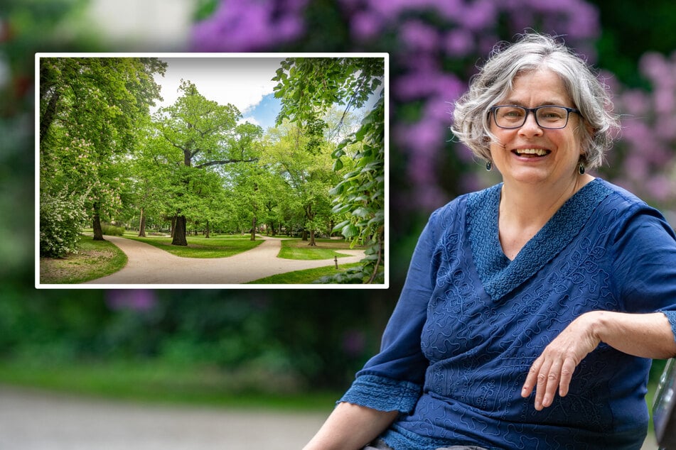 Dresden: Historisches Erbe: Striesens Park-Oase erstrahlt in neuem Glanz