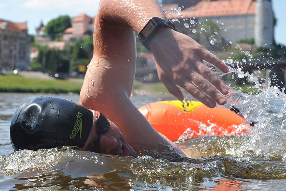 Training in der Elbe: Für vier Kilometer braucht Joseph Heß etwas mehr als eine Stunde.