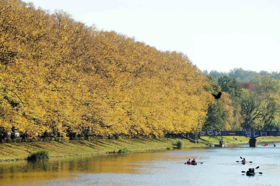 Die Weiße Elster ist für die Leipziger und Besucher auch ein beliebter Fluss zum Paddeln und Rudern.