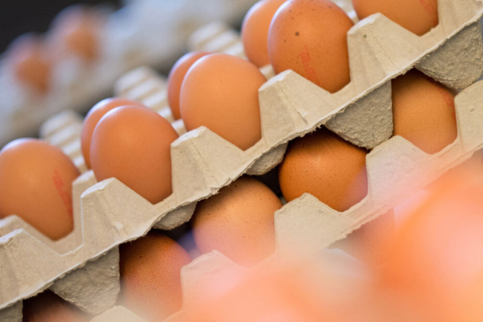Achtung! Wenn Ihr diese Eier daheim habt, gebt sie sofort zurück!