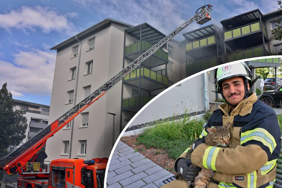 Stuttgart: Flammen in Mehrfamilienhaus: Feuerwehr rettet Kätzchen