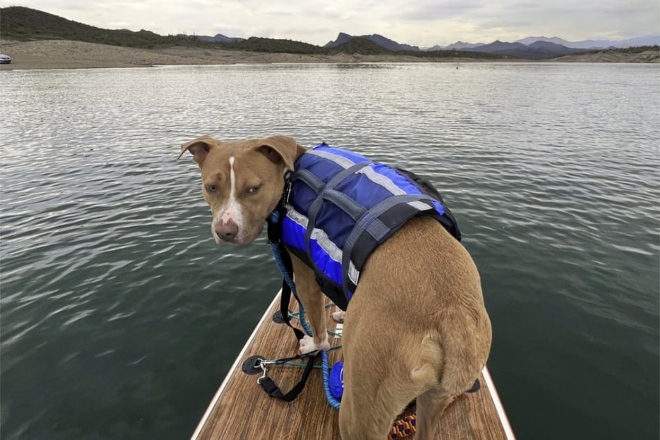 Na środku wody Chance po raz pierwszy wypróbował swoje umiejętności paddle‑boardowe.