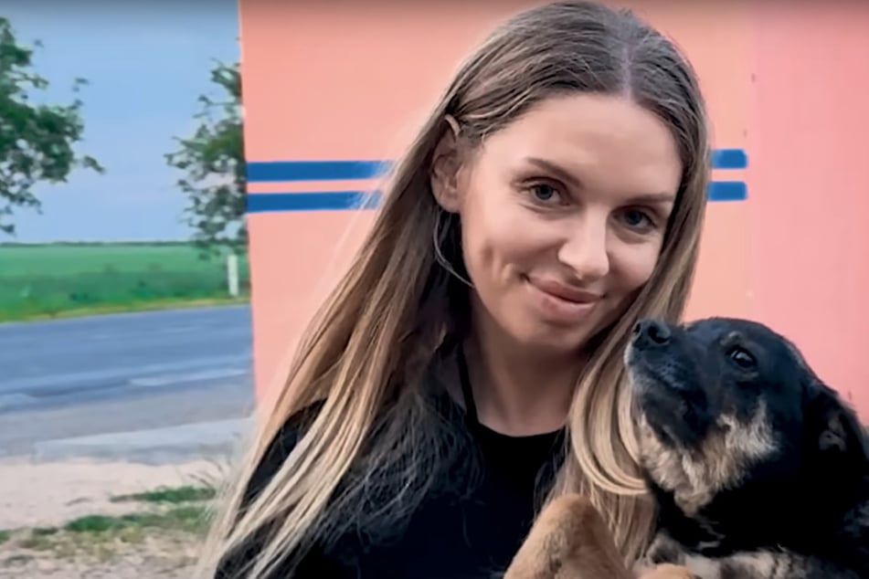 Femme sauve chien de la route : ce que le vétérinaire découvre ensuite lui brise le cœur