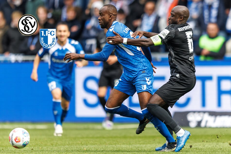 "Der Wille ist da": FCM-Coach Sander gibt einen Ausblick auf das Duell mit Elversberg