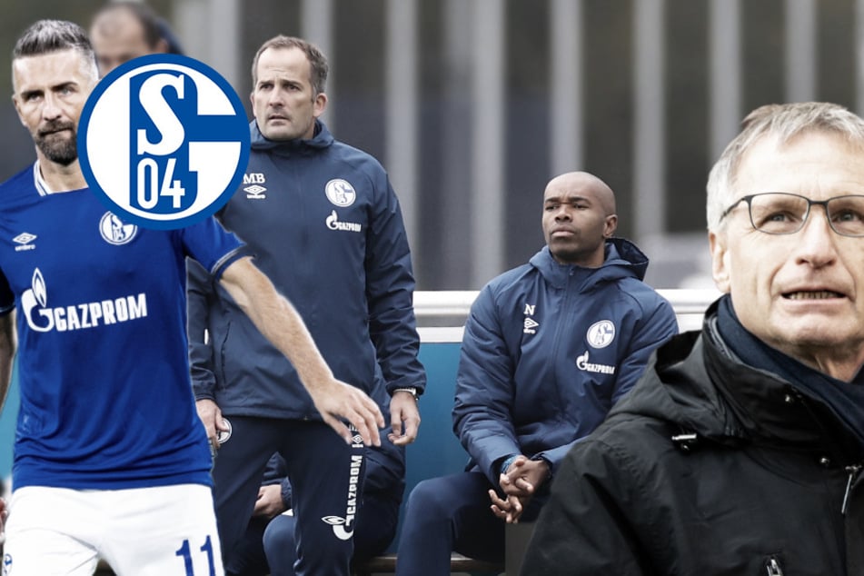 Chaos bei Schalke 04: Trainings-Eklat um Co-Trainer Naldo, Reschke entlassen!