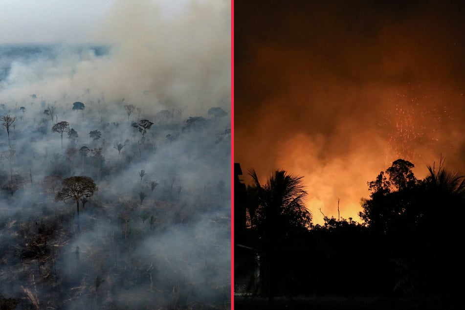 Record-breaking fires have been ravaging the Amazon rainforest.