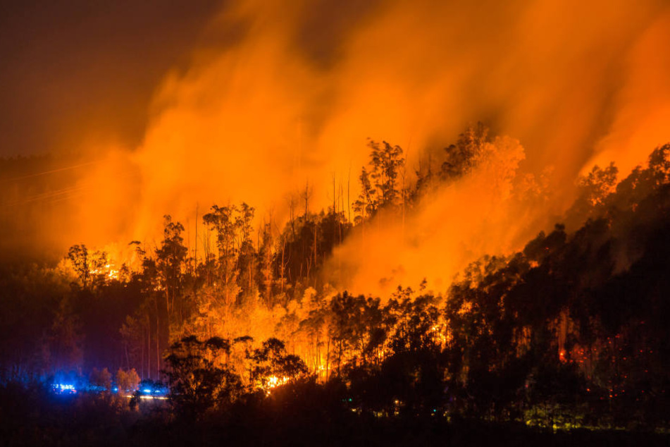 Der verheerende Waldbrand ist der Polizei zufolge durch Blitzschlag ausgelöst worden.