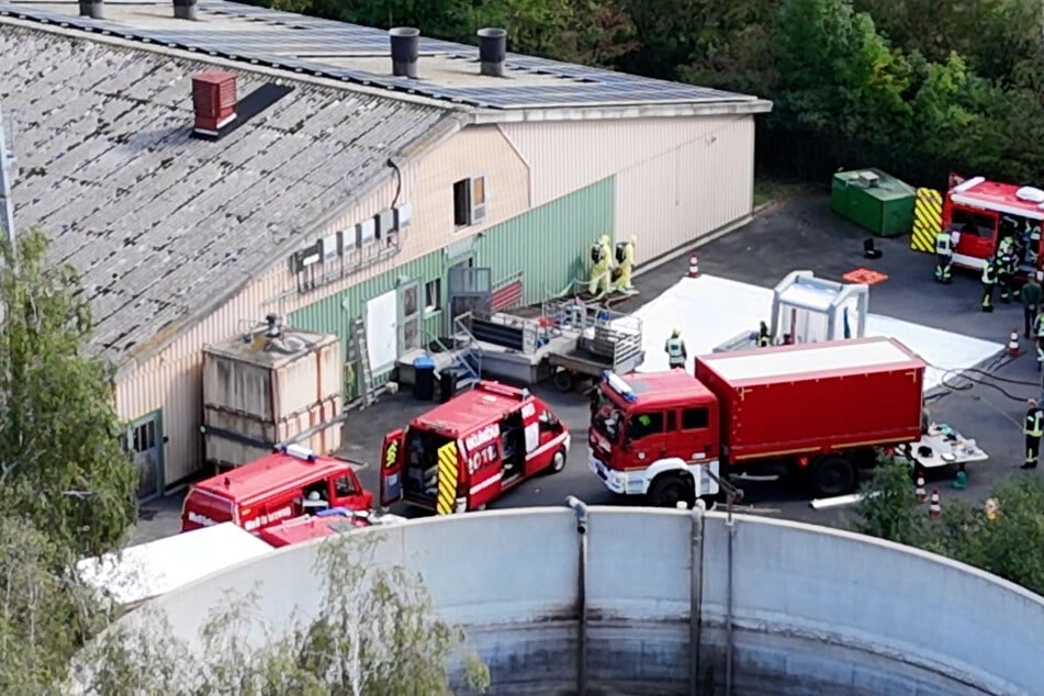 Ein technischer Defekt in der Schweinemastanlage sorgte offenbar dafür, dass zahlreiche Schweine verendeten.