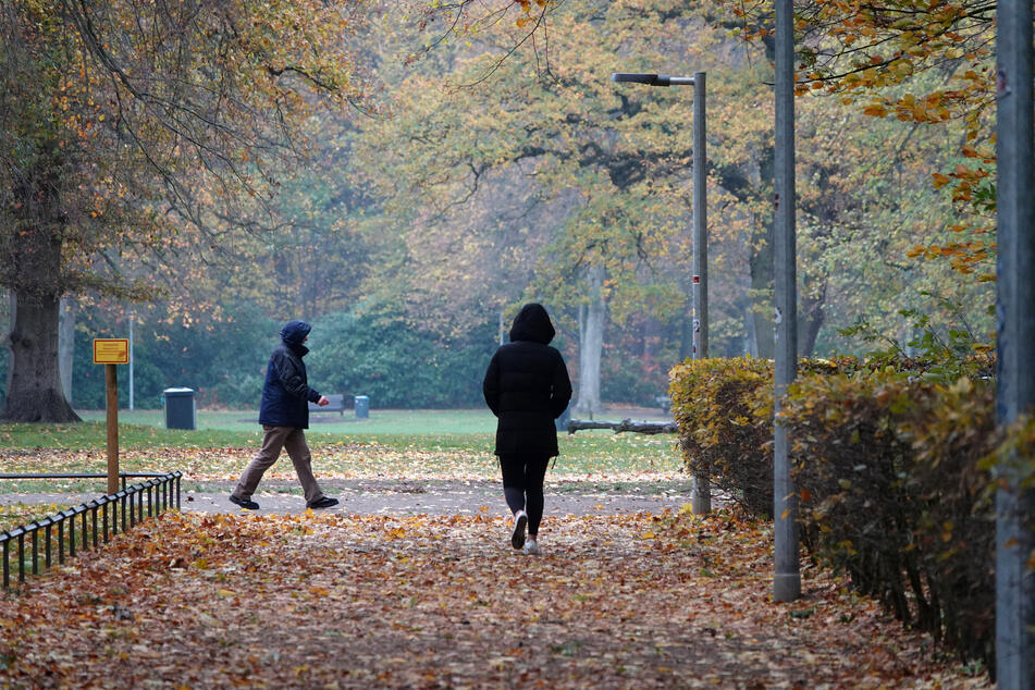 48 Laternen wurden entlang einer Jogging-Strecke im Volkspark in Hamburg-Altona aufgestellt.