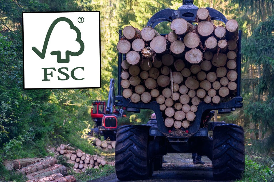 Das FSC-Label (l.) zertifiziert Holz-Produkte aus nachhaltiger Forstwirtschaft.