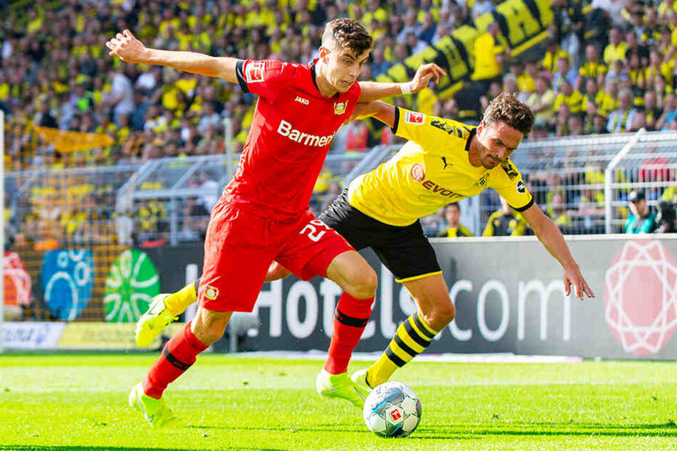 Kai Havertz wird von vielen Spitzenvereinen heiß umworben - dem Vernehmen nach auch von Borussia Dortmund.
