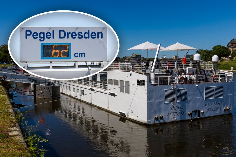 Dresden: Ebbe in der Elbe: Amerikaner mit Flusskreuzer in Dresden gestrandet