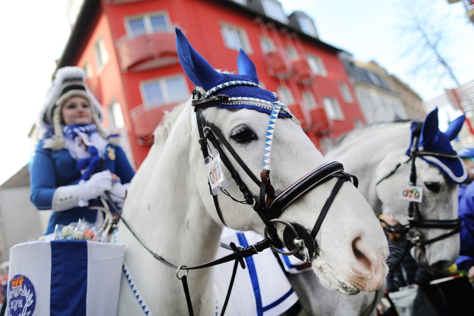 Pferde im Karneval sind seit langem ein Thema.