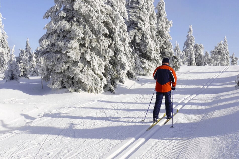 Dieser Auslandsschutz rettet jeden Urlaub