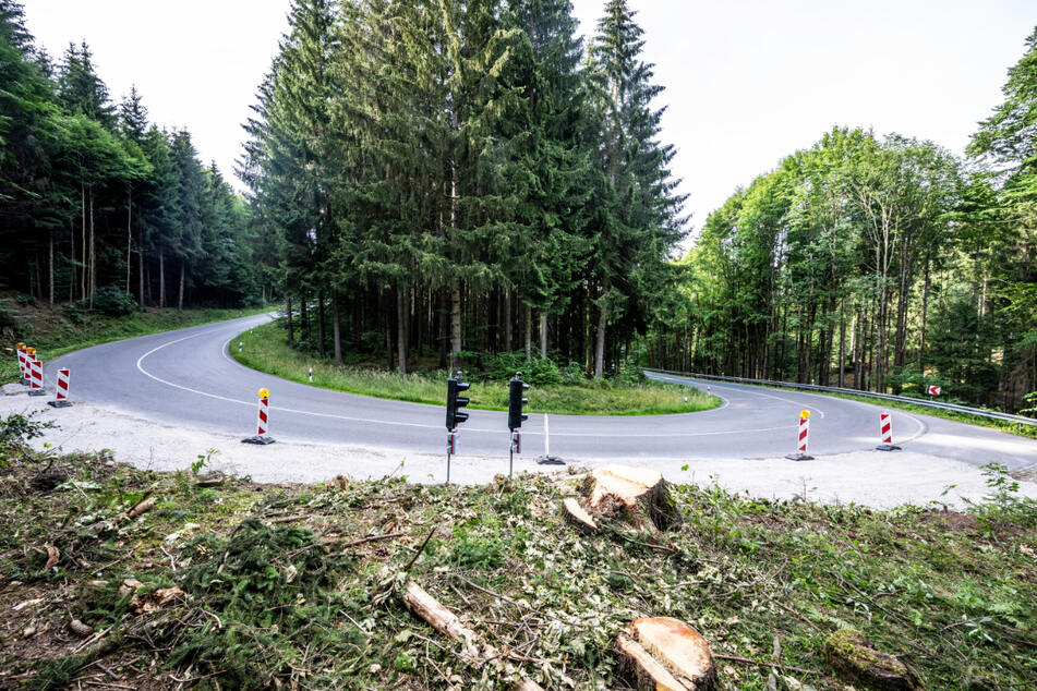 Auch zwischen Pockau-Lengefeld und Kalkwerk wurden an einer Kurve der B 101 Bäume gefällt.