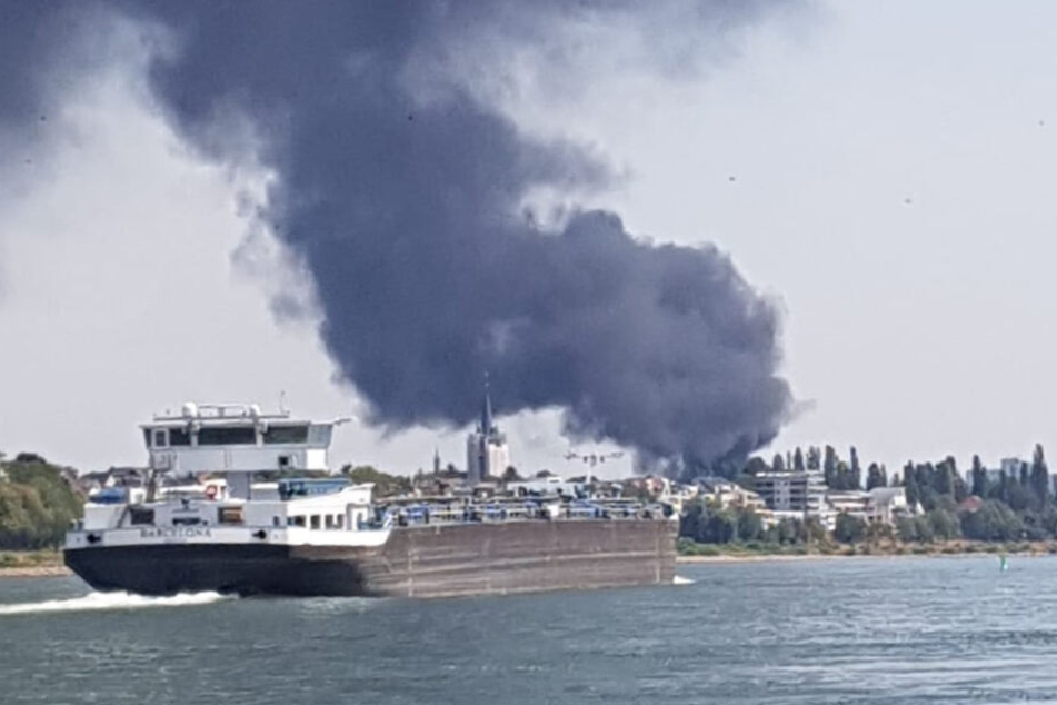 Köln: Große Rauchsäule über Köln: Feuerwehr hebt Warnung auf