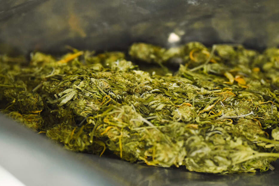 47 Kilo Marihuana stellte die Polizei sicher. (Symbolbild)