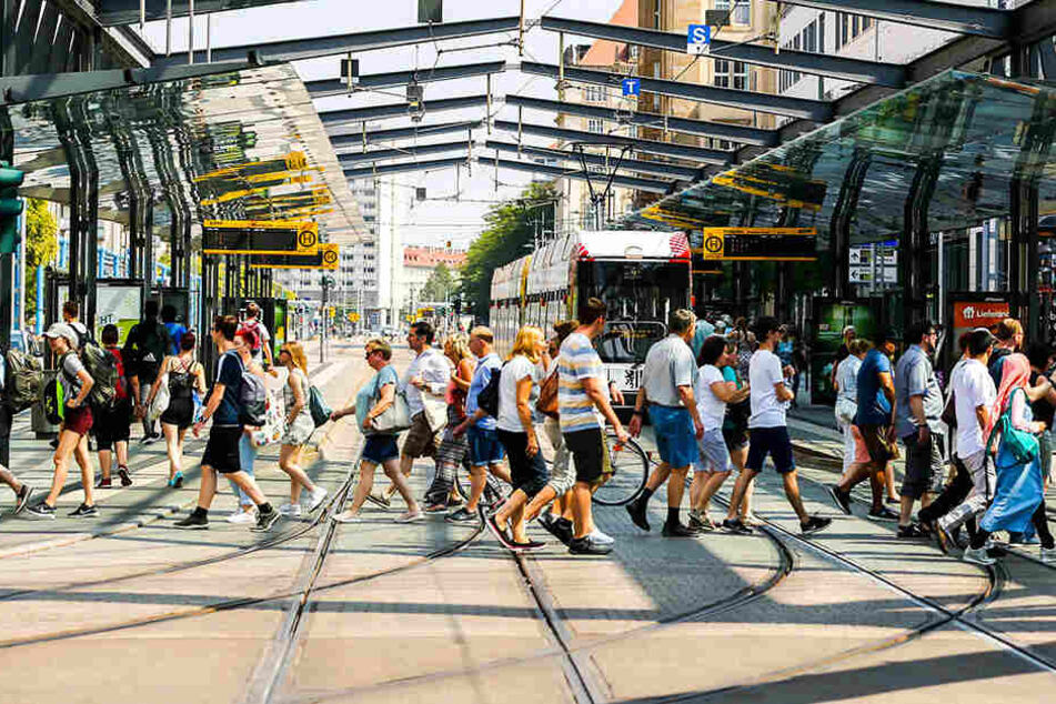 Ab Mittwoch fahren eine Woche lang keine Bahnen über die Wilsdruffer Straße.