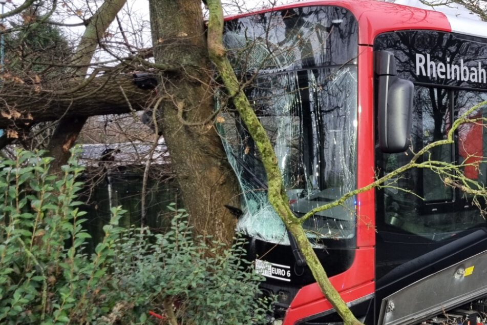 Linienbus kommt von Straße ab und knallt gegen Baum - neun Verletzte!