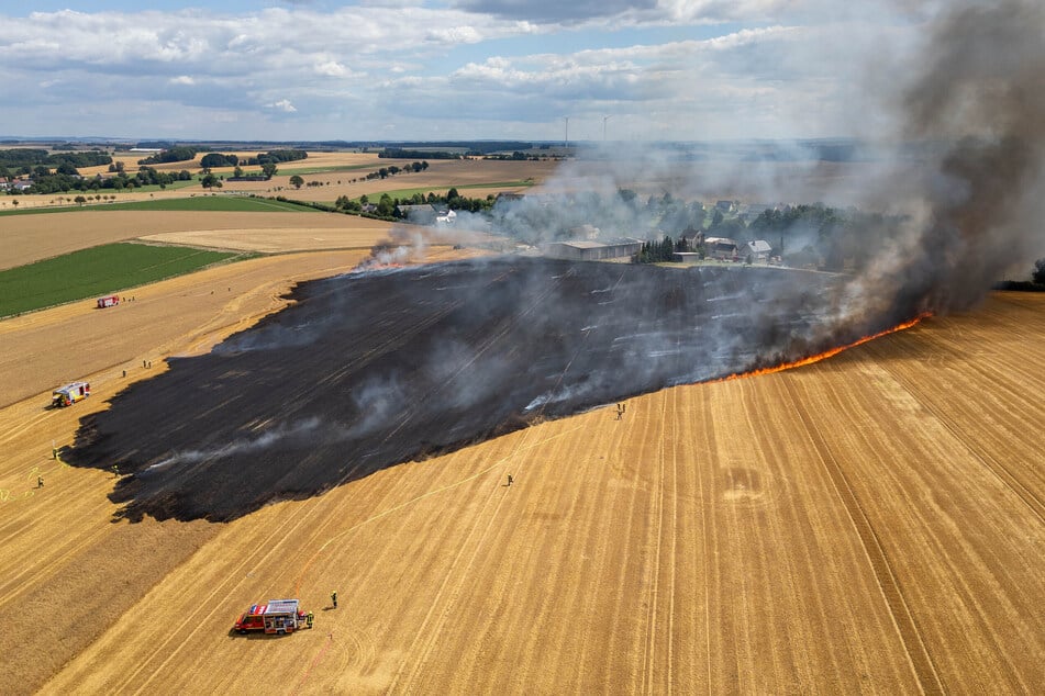 Das Feuer breitete sich bis an die Ortsgrenze von Göppersdorf aus.