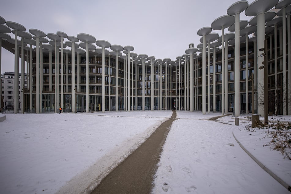 Der "Palazzo Prozzo" mit seinem "Garten" aus 159 Betonsäulen. Insgesamt hat das umstrittene Staatsbank-Gebäude 251 Säulen.
