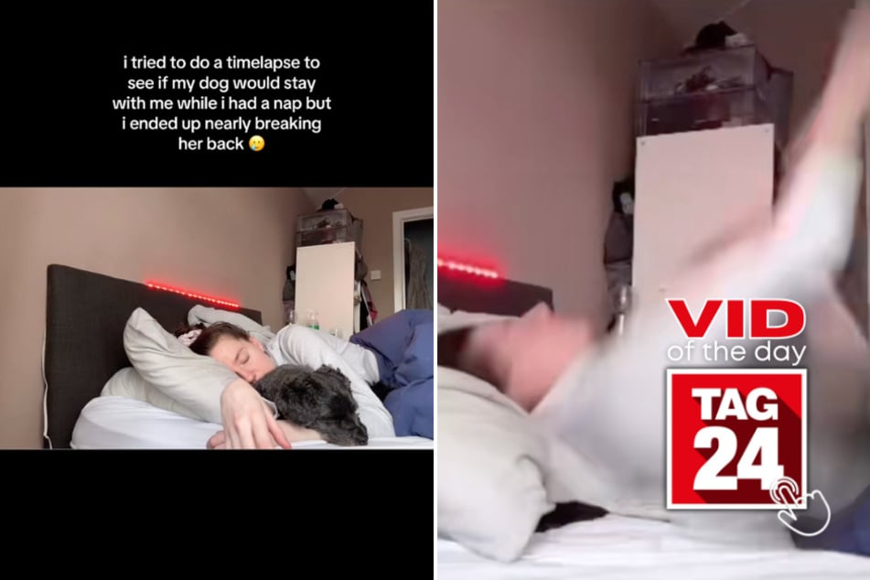 viral videos: Viral Video of the Day for March 5, 2026: Woman sends dog flying during a nap!