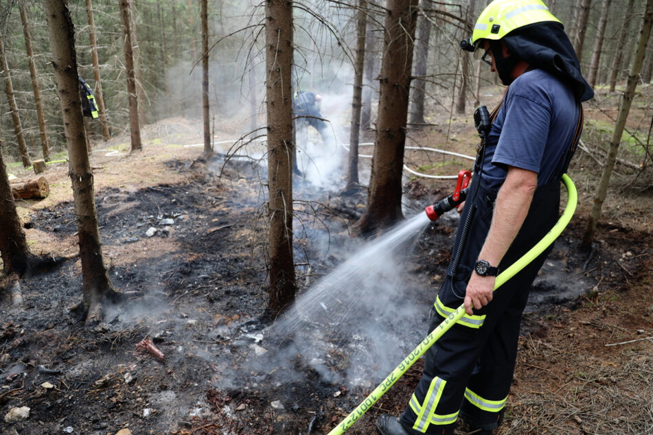 Chemnitz: Feuerwehreinsatz in Flöha: Illegale Camper lösen Brand auf Waldboden aus