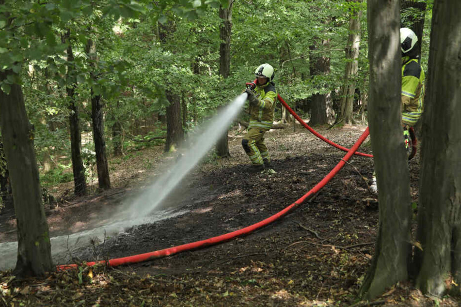 Die Feuerwehr im Einsatz. (Archivbild)