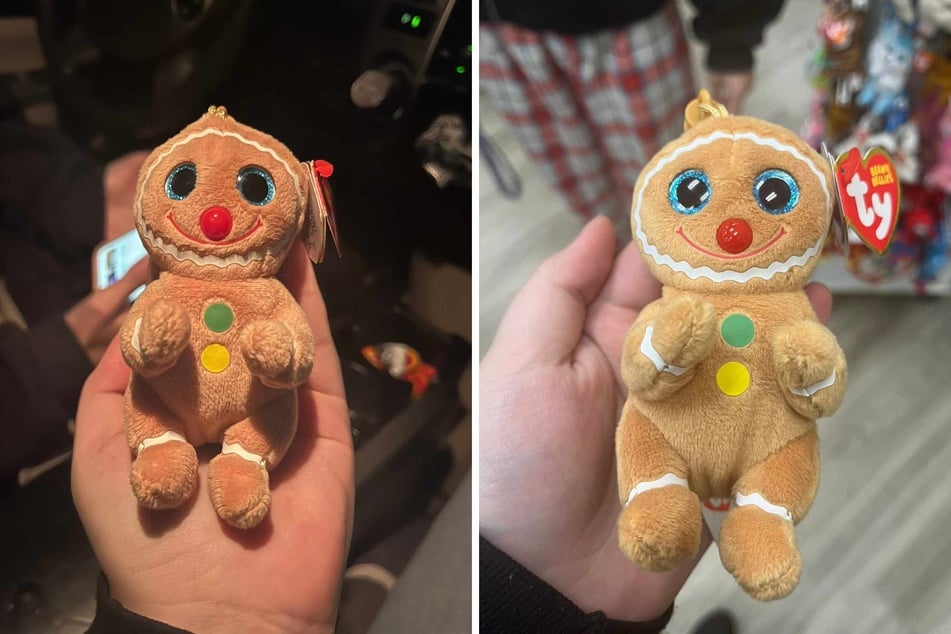 A small, "ugly" plush toy became the most wanted toy of the year – and a viral internet sensation in its own right!