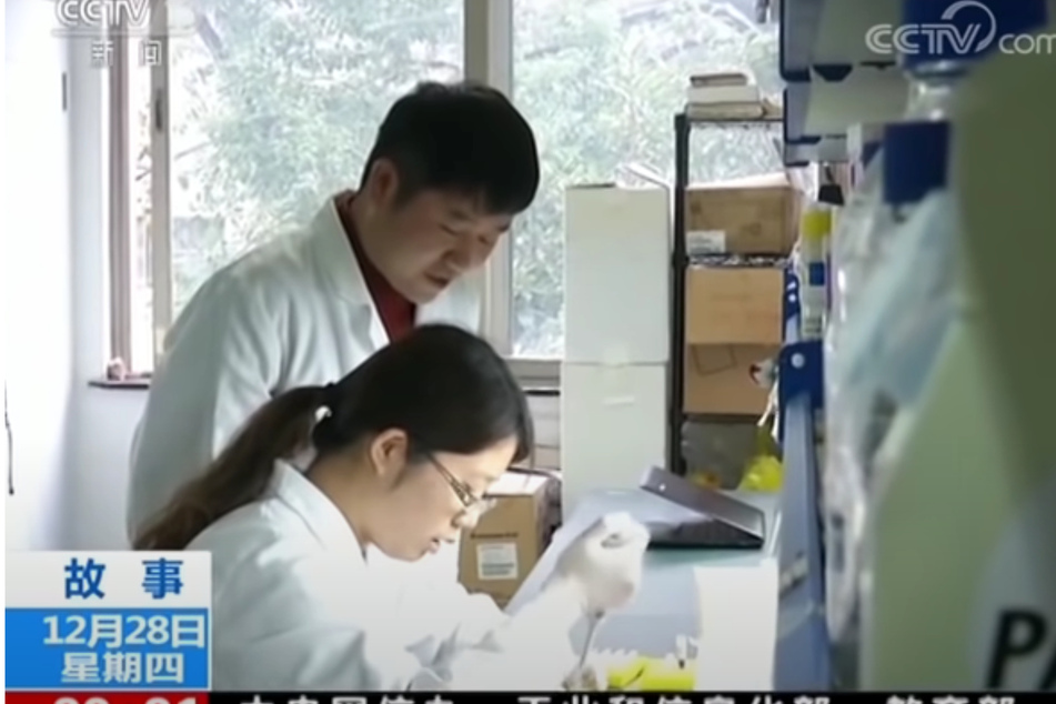 Hier leitet Ben Hu eine Kollegin im Labor an. Die beiden tragen lediglich Laborkittel und Handschuhe. Dabei hantieren sie mit hoch-ansteckenden Viren.