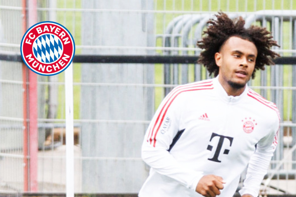 Abschied vom FC Bayern: Zieht es Joshua Zirkzee ins Ausland oder zu Bundesliga-Klub?