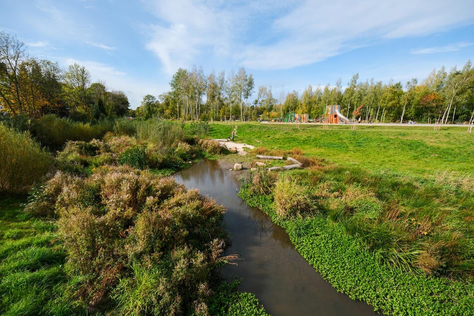 Seit 2023 wird der alte Güterbahnhof Altendorf zum Park mit Bach, Radwegen und Spielplätzen umgebaut - wann alles fertig ist, steht noch nicht fest.