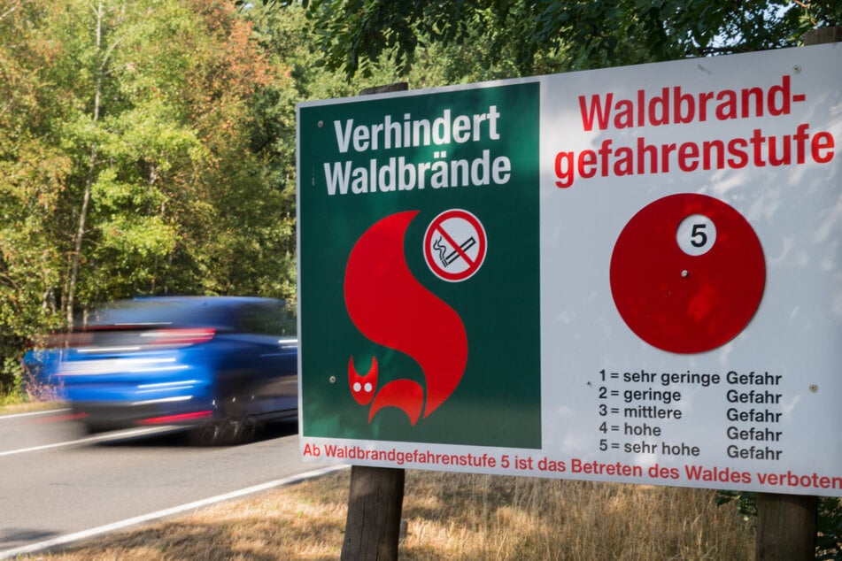 Die Waldbrandgefahr in Sachsen steigt - und bis Donnerstag soll sich die Lage sogar noch verschärfen!