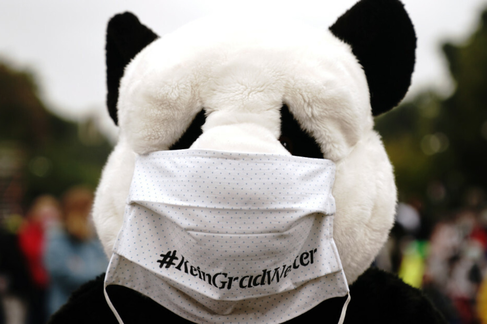 Als Panda verkleidet demonstriert ein Teilnehmer mit Fridays for Future Aktivisten im Rahmen eines internationalen Klimaprotesttages wieder für mehr Tempo im Kampf gegen die Klimakrise.