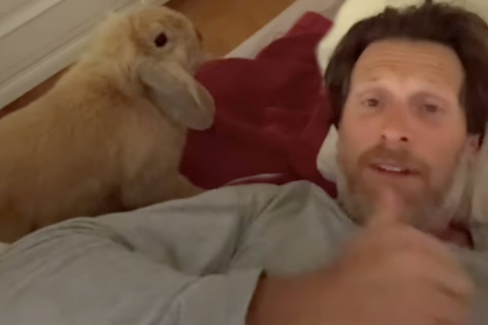 Mann kann nicht glauben, was Kaninchen ihm unter der Bettdecke hinterlassen hat