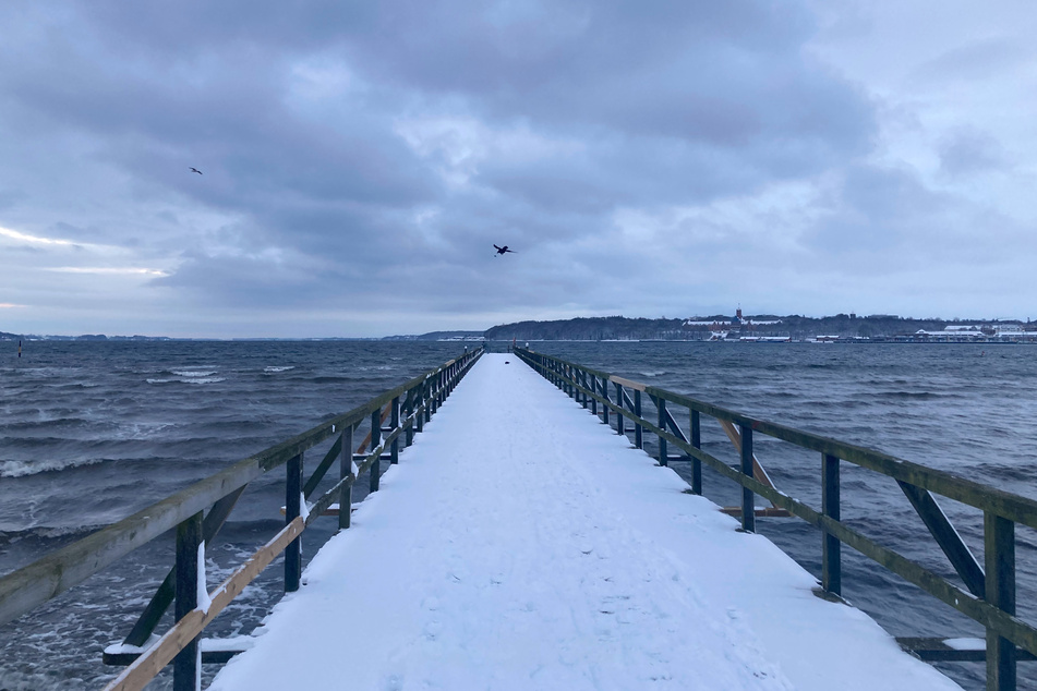 Auch in Flensburg ist das Winterwetter angekommen. Der Steg am Strand Ostseebad ist vereist und zugeschneit.