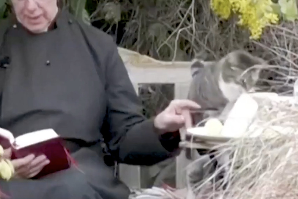 Dean of Canterbury Cathedral pets Tiger the cat as he gets his paws on a special treat.