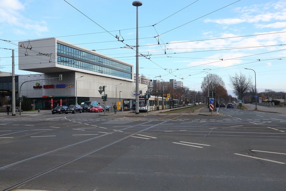 Erle, Esskastanie, Kirsche, Eiche: Der Bereich vom Straßburger Platz entlang der Stübelallee soll zusätzlich begrünt werden.