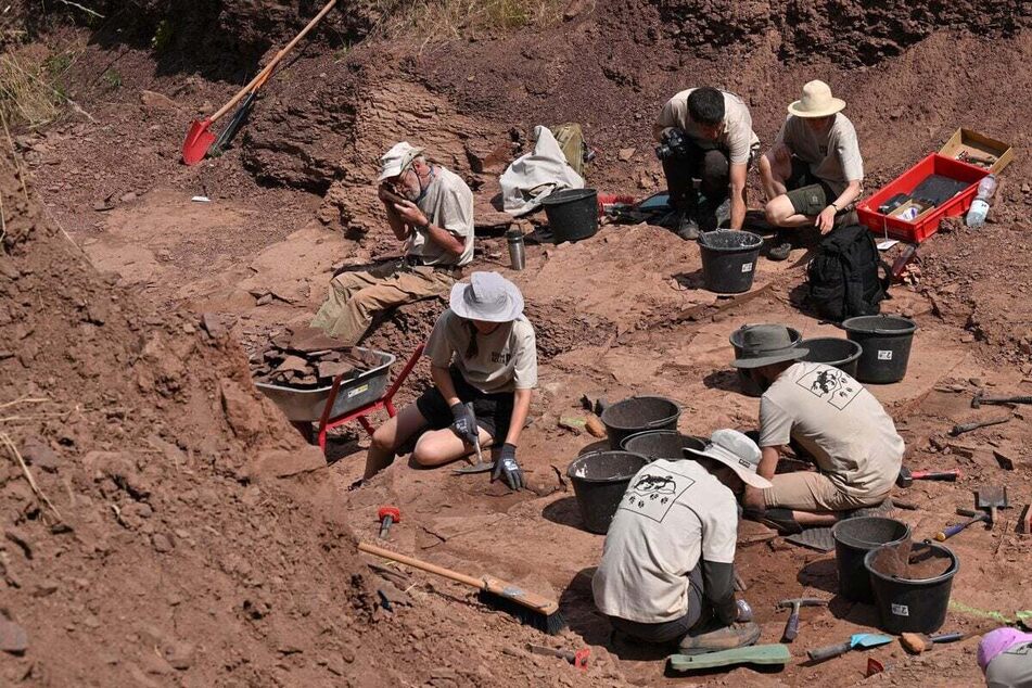 Wissenschaftler suchen bei den jährlichen Sommergrabungen an der Fossillagerstätte am Bromacker nach Überbleibseln von Ursauriern und anderen Spuren aus der Zeit vor 290 Millionen Jahren. (Archivbild)