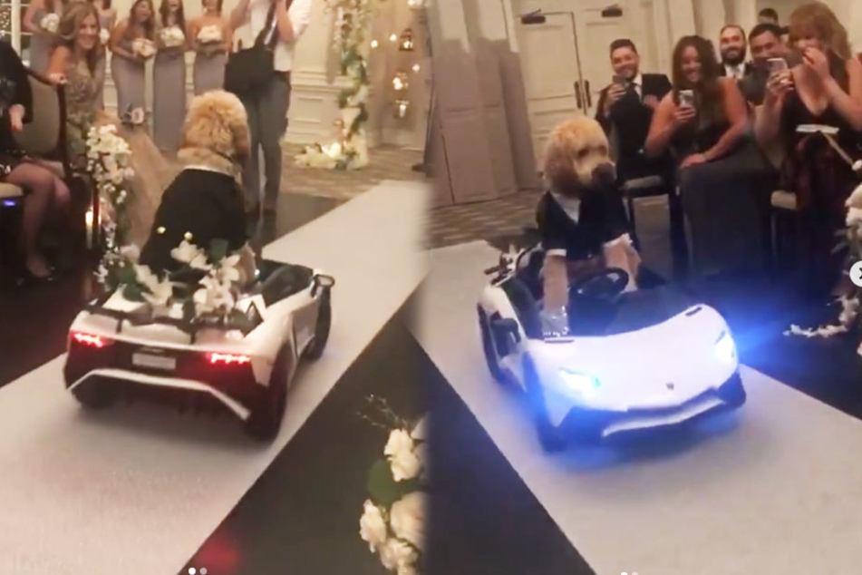 Mit einem weißen Lamborghini fuhr Frankie vor.