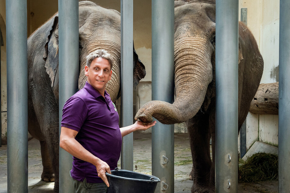 Tierpfleger Conrad "Conny" Weidner (Thorsten Wolf, 58) macht sich Sorgen um einen Elefanten.