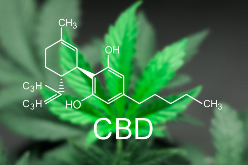 CBD-Öl wird aus der Marihuana-Pflanze gewonnen.