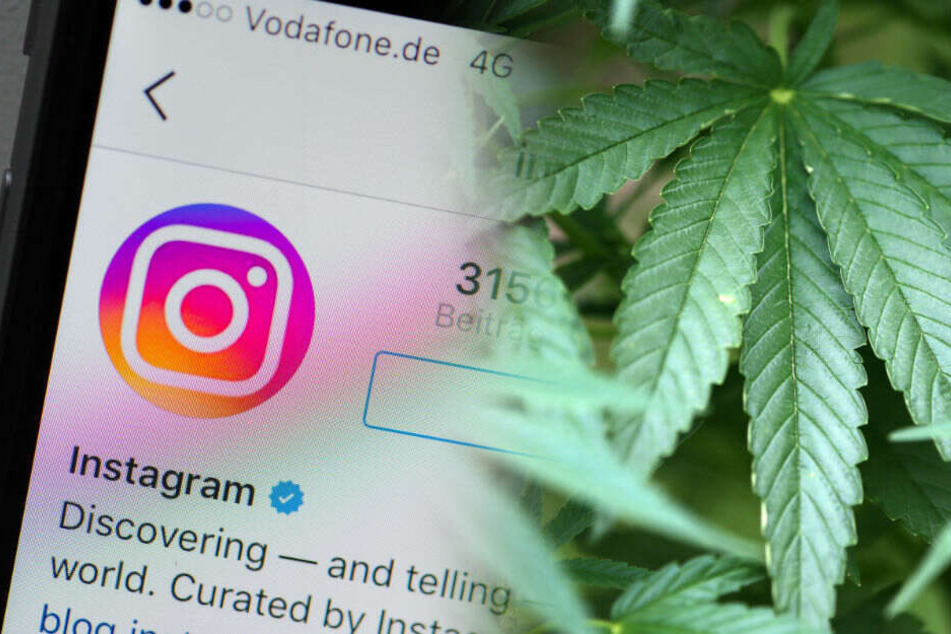 Eine Frau hat über Instagram Cannabis verkauft. (Symbolbild)